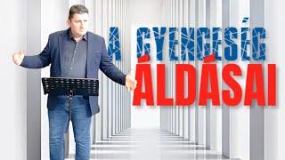 A gyengeség áldásai - Novák Zsolt