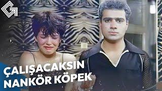 Nankör Bunlar! | Patroniçe 2 Türk Filmi