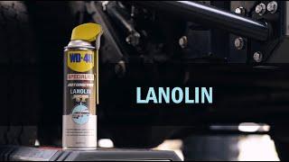 How to use WD-40 Specialist Automotive Lanolin