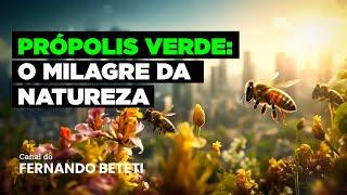 PRÓPOLIS VERDE: A CHAVE PARA UMA SAÚDE EXCEPCIONAL | DR. LEANDRO KONIG - FERNANDO BETETI