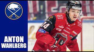 NHL Prospects : Anton Wahlberg - 23-24 Highlights