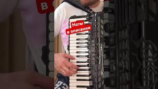 Самая популярная песня друзей к/ф бременские музыканты на баяне #аккордеонист #друзья #аккордеон