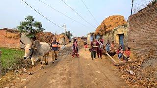 Indias Worst Hit Villages [] Strange Village In Uttar Pradesh India [] Village Life In India UP