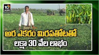 అర ఎక‌రం మిర‌ప‌తోట‌తో ల‌క్షా 30 వేల లాభం | High Profits in Mirchi Cultivation | Matti Manishi | 10TV