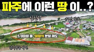 충격!! 구매 땅값보다 대출이 더 나오는 땅!! 감정가 보다 낮게 매각! 50평씩 분할 나만의 공간 만들기!! #캠핑#농막#이동주택#세컨하우스#파주#임진강#소형토지#부동산#토지매매