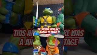 Be careful out there! Vintage toy hunt- TMNT, Simpsons and more! #tmnt #toys #simpsons #collection