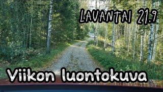 Ei musta ehkä luontokuvaajaksi ole #arkivlog #dailyvlog #cotondetulear #vlog