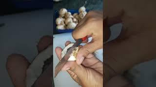 How to clean button mushrooms perfectly before cooking..simple way  #mushrooms #mashroomcleaner