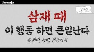 삼재 때 이 행동 하면 큰일난다! 삼재띠 주목!