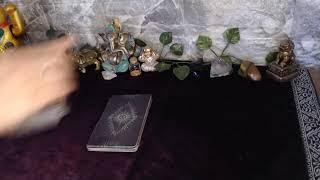 Tarot en Vivo