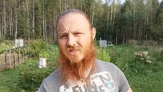Ленивый огород - как это может быть