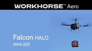 Falcon HALO UAS | Workhorse Aero