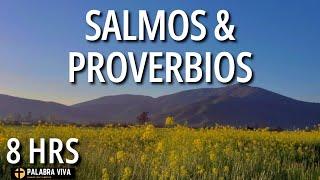 Salmos y Proverbios para dormir en paz | calma la ansiedad | 8 HRS