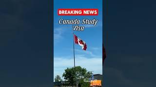 End of Canada Study Visa #youtubeshorts #shorts #trending #viralvideo #short #viralshorts #news