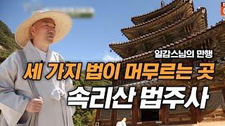 세 가지 법이 머무르는 곳 속리산 법주사 [일감스님의 만행]