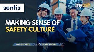 Making Sense of Safety Culture | Webinar | Sentis