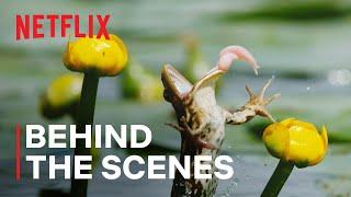 Our Living World | Shooting Frogs | Netflix