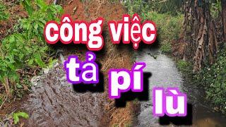 Hoa CÀ PHÊ Cần Tưới...Đồng Hải Xoay Vần Với CÔNG VIỆC Tổng Hợp ...