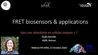 FRET biosensors and applications