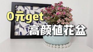 0元get高颜值花盆，个性又不浪费｜软装抠搜指南