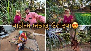 આપડી વાળી નું બકાલું|| Sk Gujarati Vlogs || Village family vlogs ||