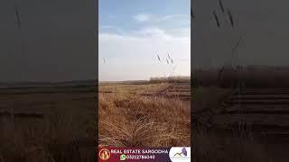 Cheap Agricultural Land for Sale in Punjab | Zari Raqba | Low Price Zamin | Real Estate Sargodha