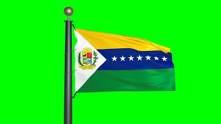 Flag of Apure State (green screen)