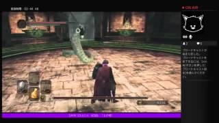 【DarkSouls2】毒の妃ミダ #PS4 #実況