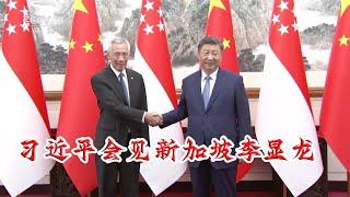 国家主席习近平在北京钓鱼台国宾馆会见新加坡国务资政李显龙。#习近平 #習近平 #李显龙 #新加坡