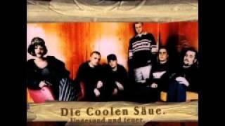 DCS - N8schicht 1997 Die Coolen Säue