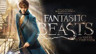 Fantastic Beasts and Harry Potter connections & further stories