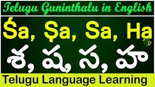 Sa Sha Sa Ha Guninthalu in English | How to write Telugu Guninthalu in English | Learn #Guninthalu