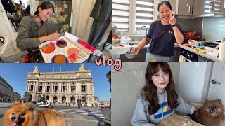 프랑스vlog ◇ 프랑스 떠나기 전 마지막 시간들. 그리고 한국행과 근황