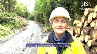 What a HSA Inspector Looks For on a Forestry Inspection | Health and Safety Authority