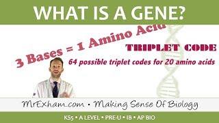 What is a gene and how does the genetic code work? - Post 16 Biology (A Level, Pre-U, IB, AP Bio)