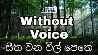 Seetha wana wil pethe karaoke සීත වන විල් පෙතේ Irin de alwis අයිරිං ද අල්විස් Sinhala Karaoke