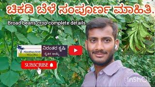 ಚಿಕಡಿ ಬೆಳೆ ಸಂಪೂರ್ಣ ಮಾಹಿತಿ. ||Chikkadi Kai || Broad beans || #beans #vegetables #agriculture