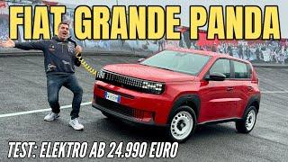 FIAT GRANDE PANDA 2025: Erster Test | Elektro-Kleinwagen für 24.990 Euro | RED