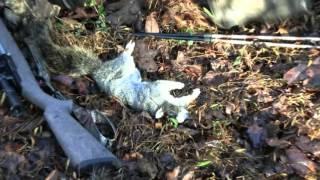 Suppressed Squirrel Hunting November 2015