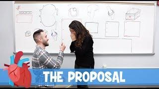 Ninja Nerd Science | The Proposal