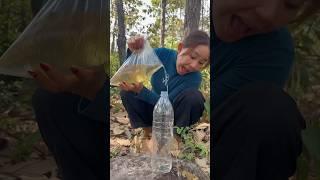Survival Skills: easy methood saving watertransfer to bottle #camping #bushcraft#water #smart#p241