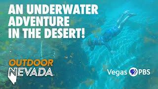 Underwater Adventure in the Desert | Outdoor Nevada