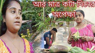 বেশি দিন বাকি নেই আর মাত্র কটা দিনের অপেক্ষা তারপর ভরে উঠবে সব কিছু ।।