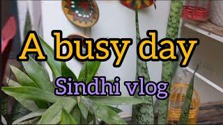 A busy day /my daily routine  🫕 ️🪡🪴🪣/sindhi vlog 