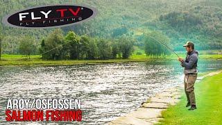 FLY TV - Salmon Fishing Tactics in Årøy and Osfossen (Neteland Brothers)