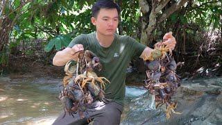 Robert catches wild crabs for food and sells. Green forest life