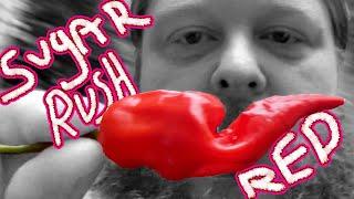 Sugar Rush Red Hot Pepper - Does it taste good? How hot? #hotpepper #garden #spicyfood