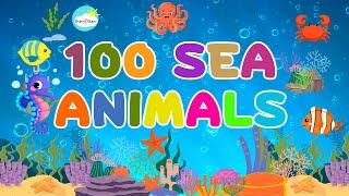 100 Sea Animals | Learn Sea Animals for Kids Learning | Aquatic Animals with Pictures | BrainyBeams