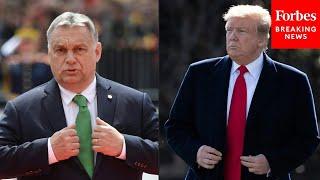 'I Had Dinner Last Night With A Great Gentleman From Hungary': Trump Discusses Viktor Orbán At Rally