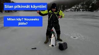 Siian pilkinnät korkattu | Tuleeko saalista ? #KALASSA37